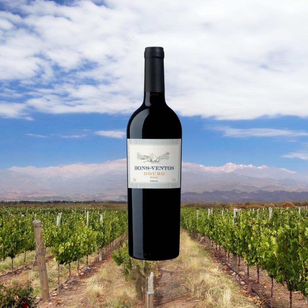 Vinho Bons Ventos Douro Tinto 750ml - Imagem 4
