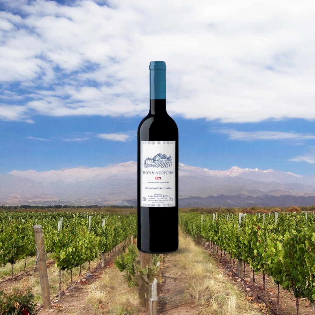 Quinta de Bons Ventos Vinho Tinto - Imagem 4