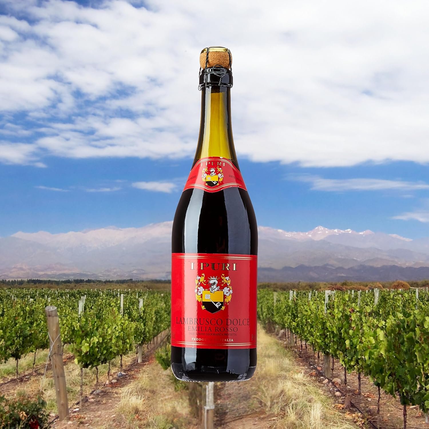 I Puri Vinho Italiano Lambrusco Tinto 750Ml - Imagem 2
