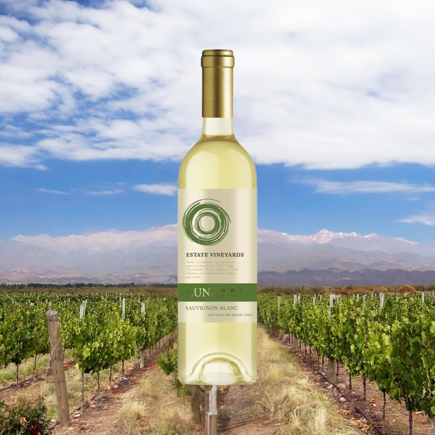 Vinho Chileno Luna Vista Estate Vineyards Sauvignon Blanc 750ml - Imagem 2