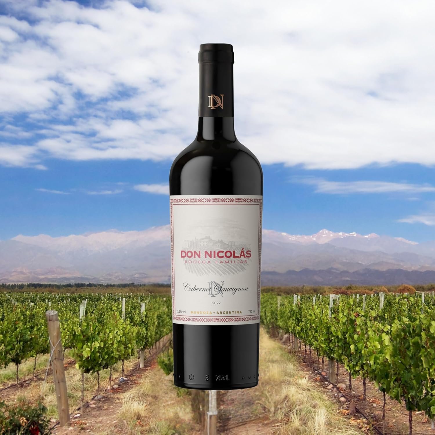 Don Nicolás Vinho Tinto Argentino Cabernet Sauvignon 750Ml - Imagem 2