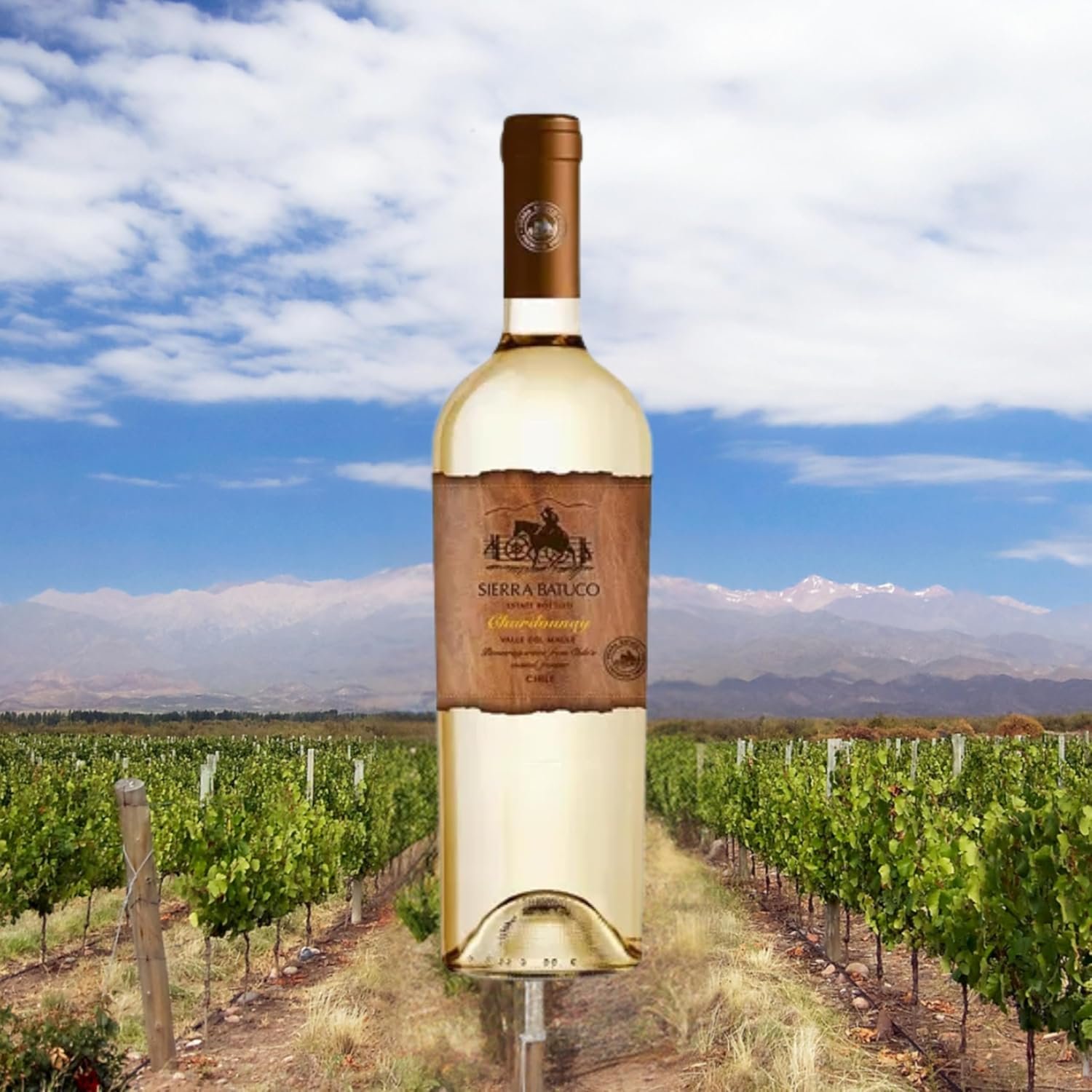 Sierra Batuco Vinho Branco Chileno Chardonnay 750Ml - Imagem 2