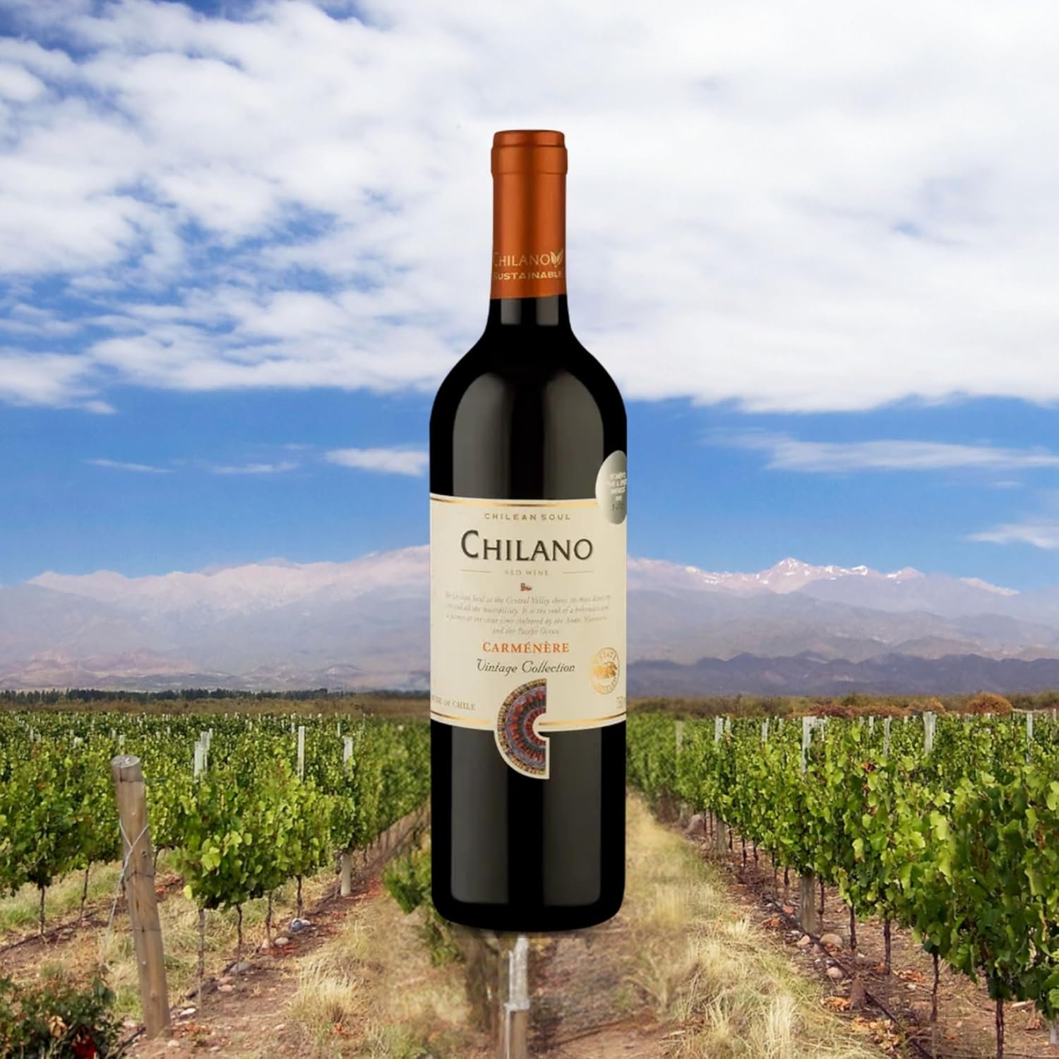 Chilano Vinho Chileno Tinto Carmenere 750Ml - Imagem 3
