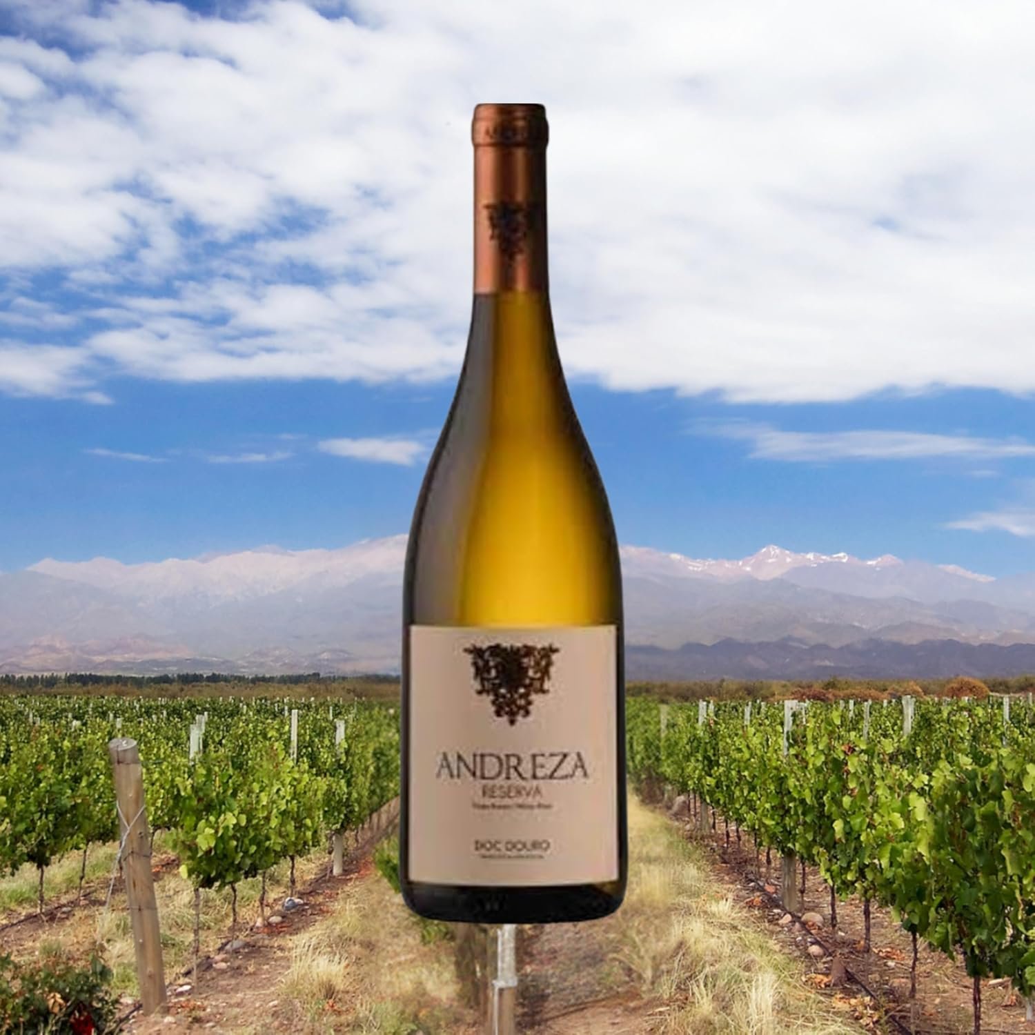 Vinho Branco Português Andreza Reserva DOC Douro 750ml - Imagem 2