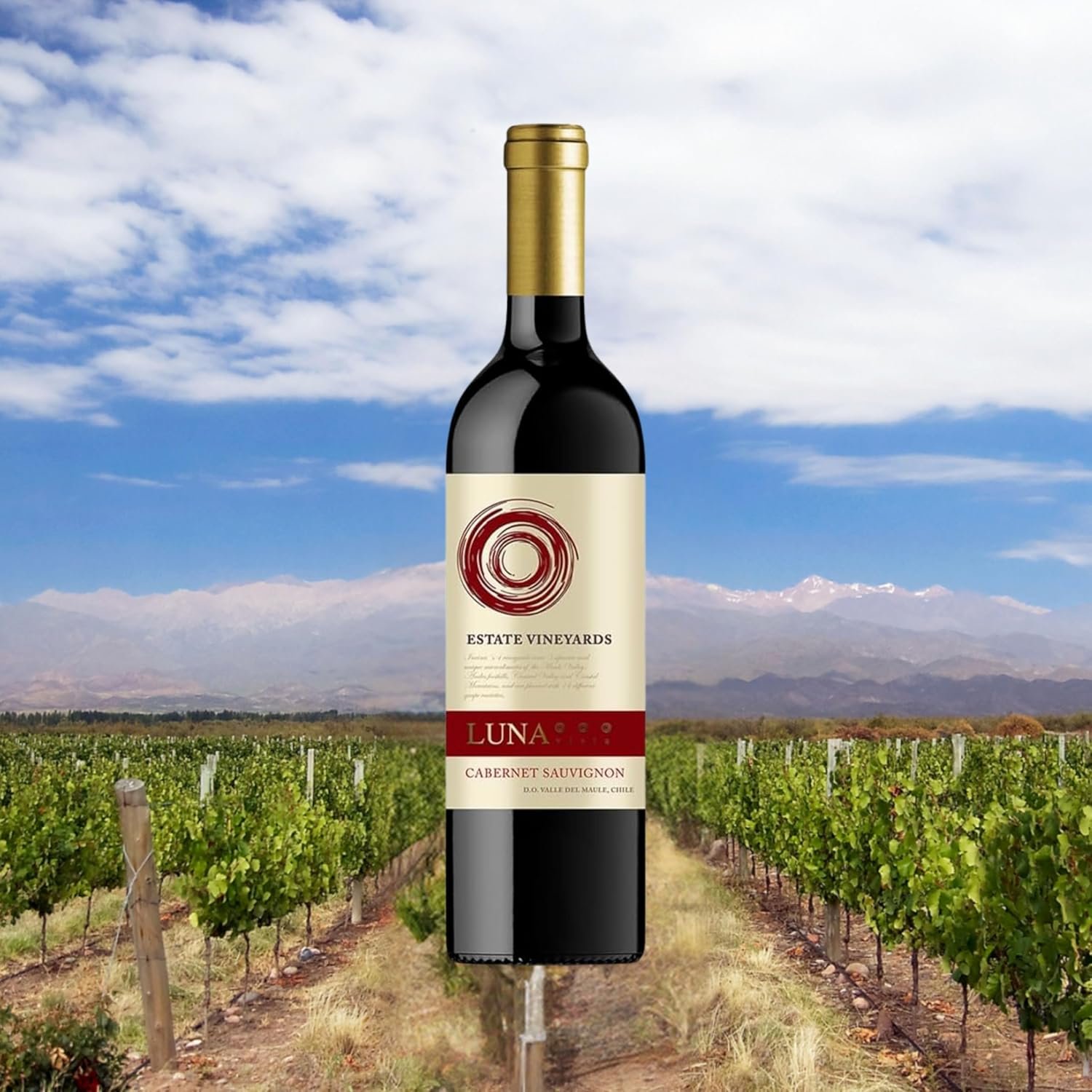 Vinho Chileno Luna Vista Estate Vineyards Cabernet Sauvignon 750ml - Imagem 2