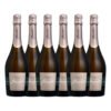 Compre 5 Leve 6 Espumante Salton Prosecco Domenico Giornata 750ml